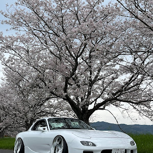 RX-7 FD3S 中期