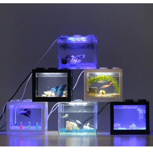 images slider number - 4