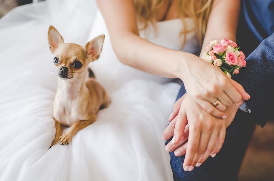 Wedding photographer Viktoriya Sklyar (sklyarstudio). Photo of 10 October 2017