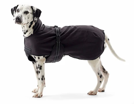 KRUUSE Rehab Hundtcke ReDog, softshell, 55 cm, 1 st