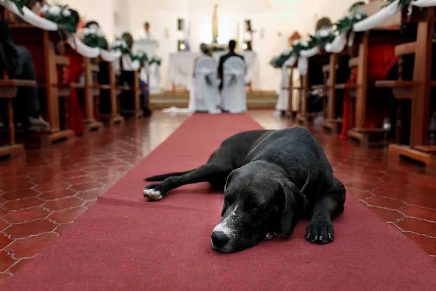 Fotógrafo de casamento Stefania Paz (stefaniapaz). Foto de 2 de junho 2018