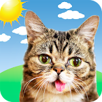 Cover Image of Download Weather BUB 4.8.3 APK