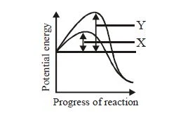 Classification and factors affecting enzymes