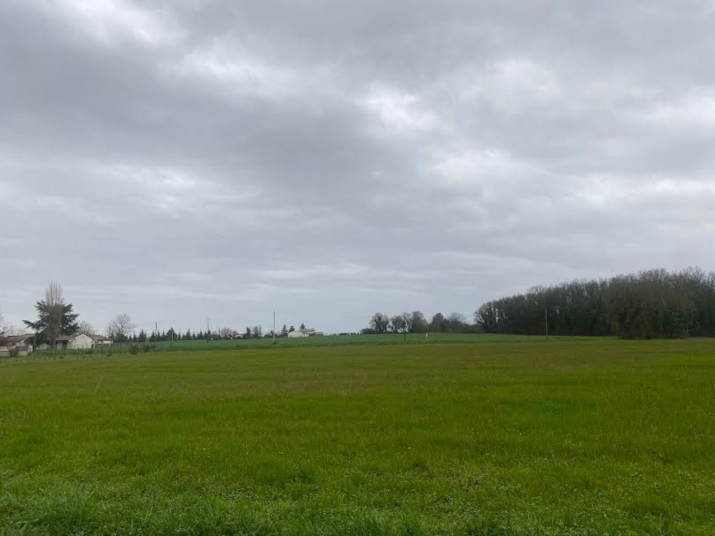 Vente terrain  1200 m² à Brie (16590), 44 000 €