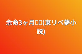 余命3ヶ月𓂃𓏸(東リべ夢小説)