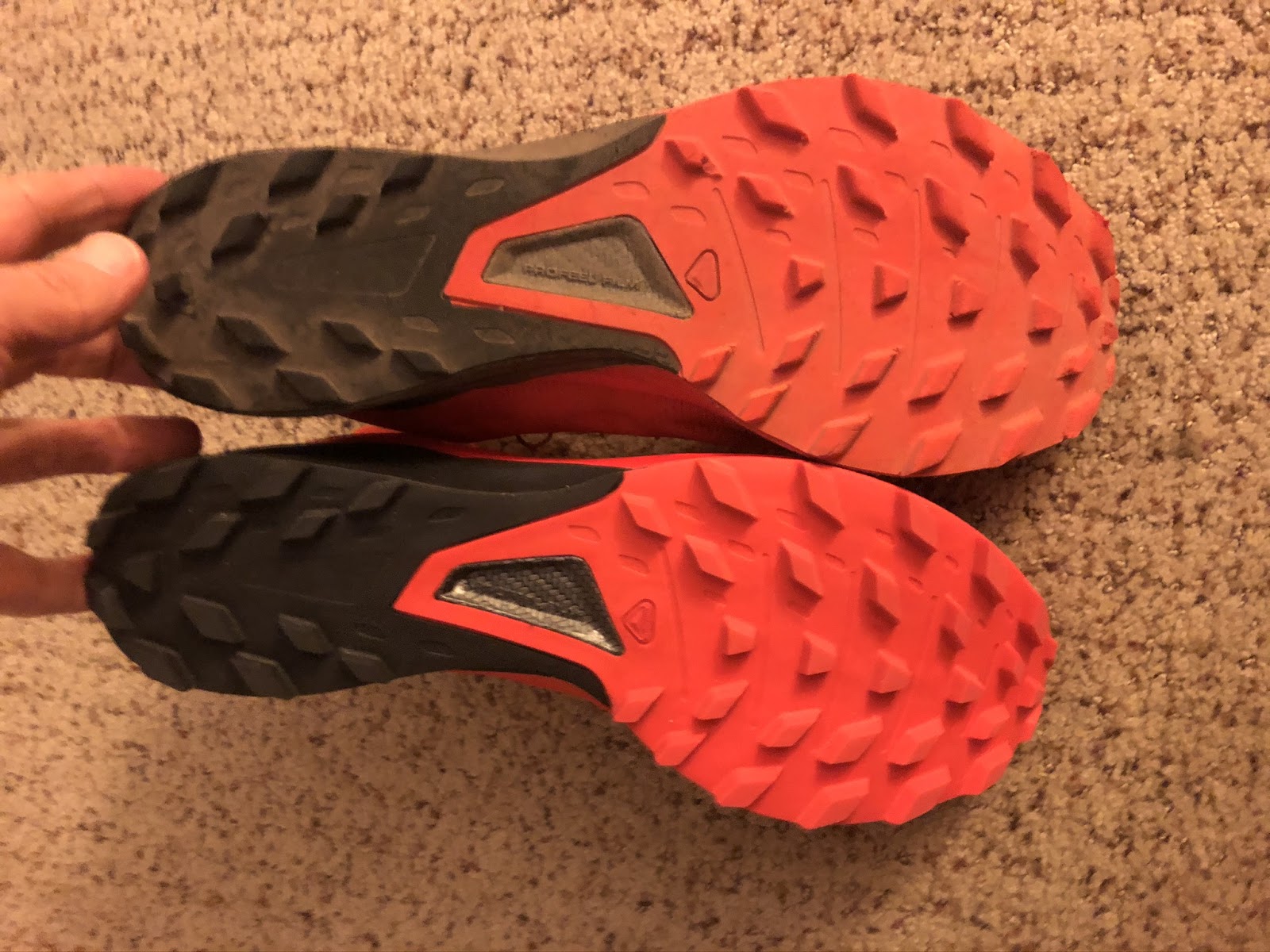 Road Trail Run: Salomon S/Lab Sense 8 SG Review