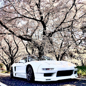 NSX NA1