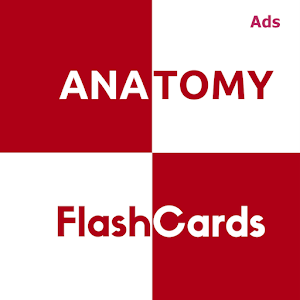 Download Anatomy FlashCards Free For PC Windows and Mac