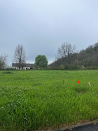 maison neuve à Orgueil (82)