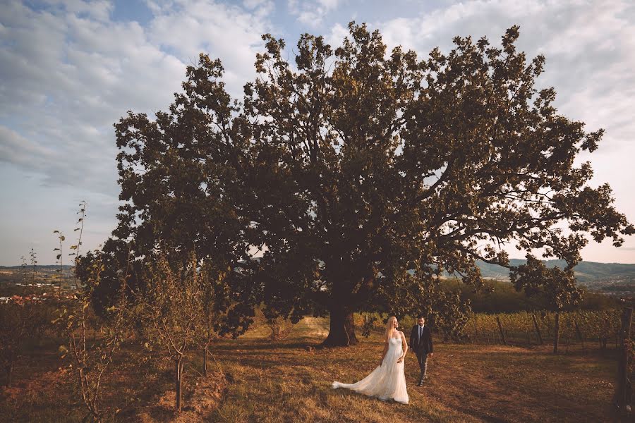 Hochzeitsfotograf Predrag Zdravkovic (predragzdravkov). Foto vom 20. November 2017