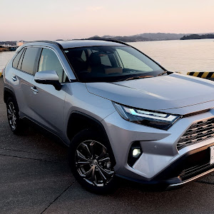 RAV4 AXAH54