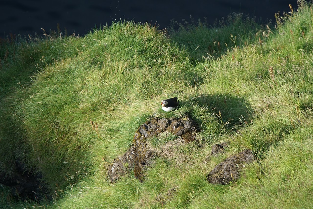 Исландия - родина слонов (архипелаг Vestmannaeyjar, юг, север, запад и Центр Пустоты)