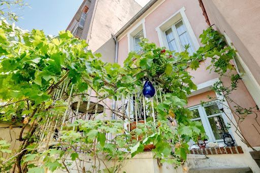 House with terrace 5