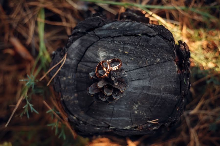 Svatební fotograf Artem Golik (artemgolik). Fotografie z 5.listopadu 2018