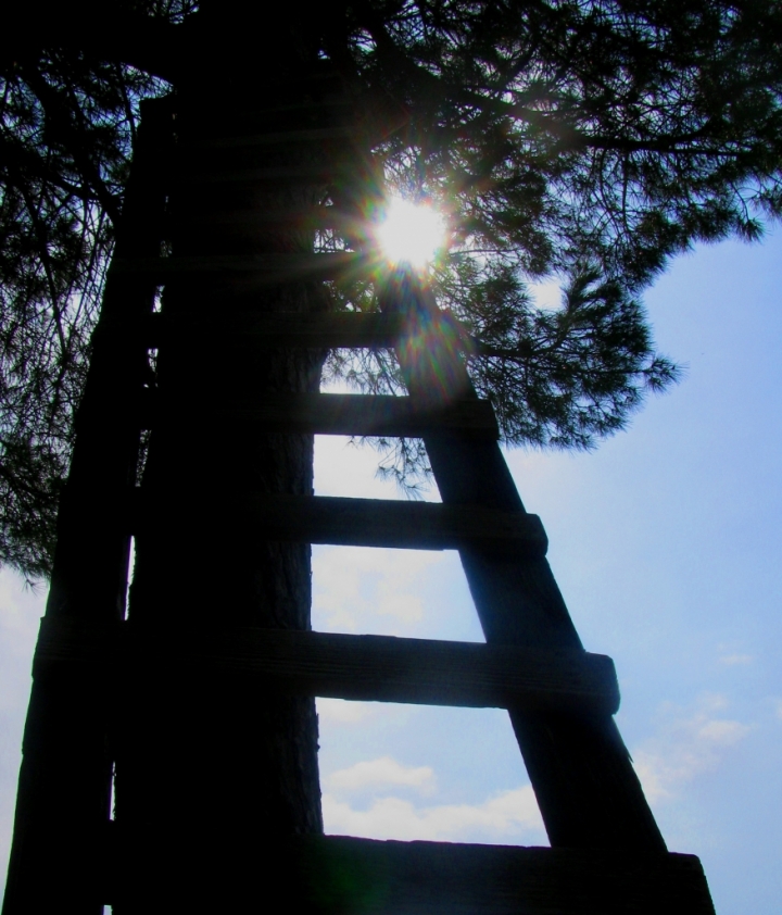 Stairway to the sun di Elisabetta Di Girolamo