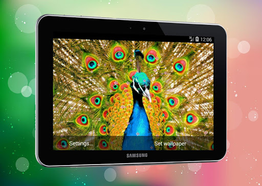 New Peacock Live Wallpaper