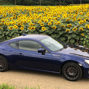 BRZ ZC6