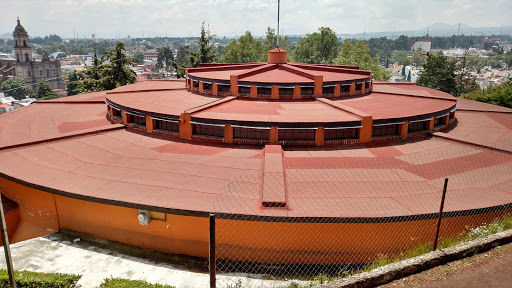 Museo de Historia Natural