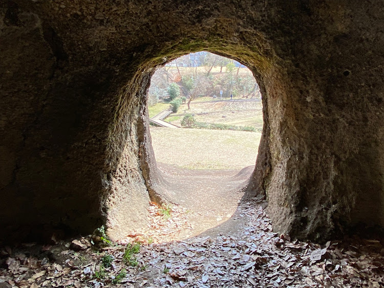 ビークロスの伊豆めんたいパーク・満開の桜・柏谷公園・沼津港・千本浜公園に関するカスタム事例の投稿画像15枚目