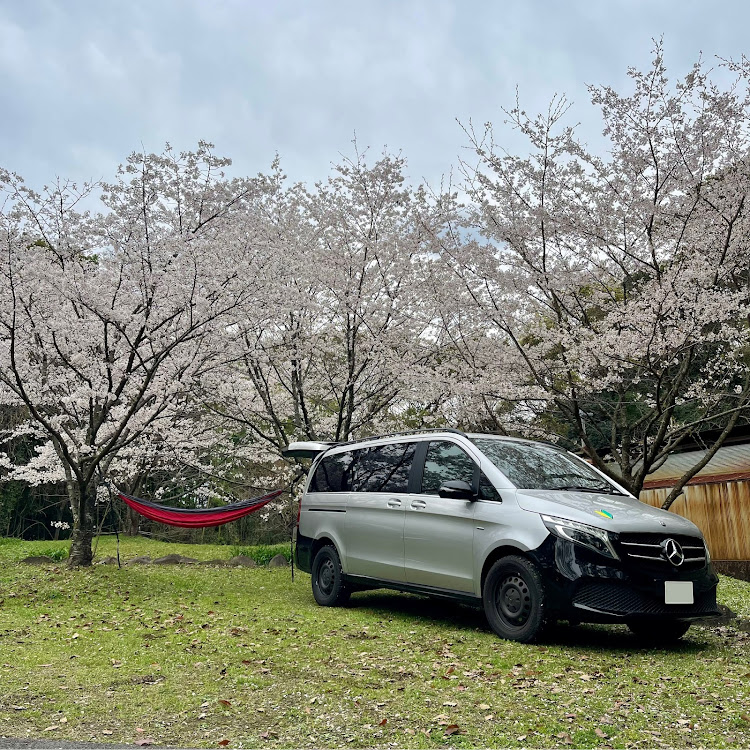 VクラスのW639・車中泊・キャンプ・桜に関するカスタム事例の投稿画像5枚目