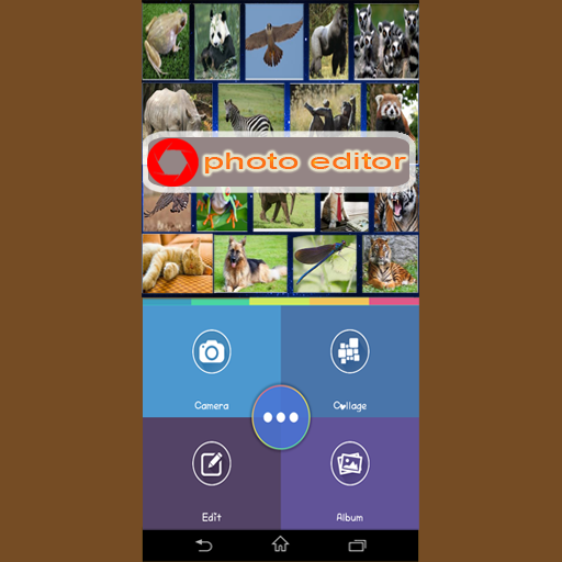 Photo Collage Editor