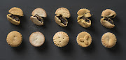 Traditional mince pies from (left to right) Checkers, Woolworths, Pick n Pay, Food Lover's Market and Spar.