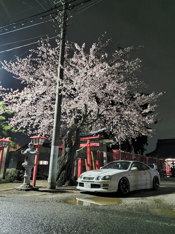 セリカの桜と愛車・夜桜コラボ・桜と雪・マフラーをさくっと紹介に関するカスタム事例の投稿画像4枚目