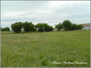 terrain à Moulotte (55)