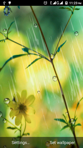 Rain Live Wallpaper