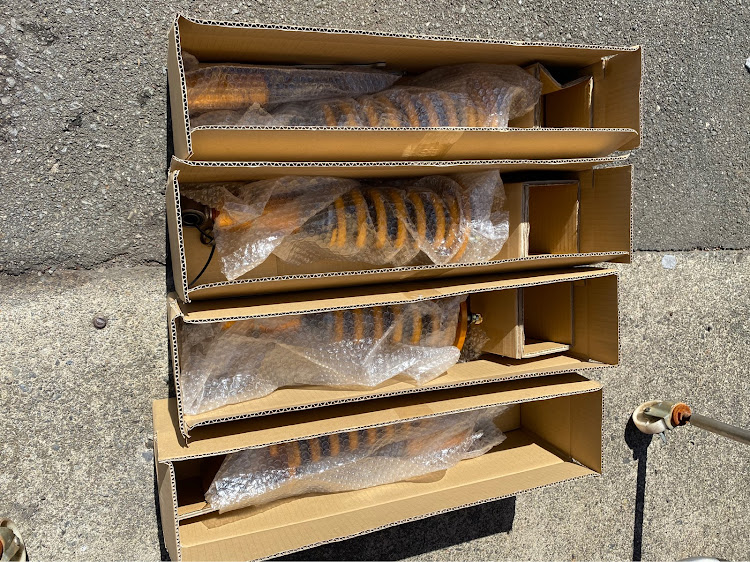 スカイライン GT-Rの尻ーズ・🍆NASUぐみ・Rを嗜む💕・JPF morning project・色々とせせくるに関するカスタム事例の投稿画像5枚目