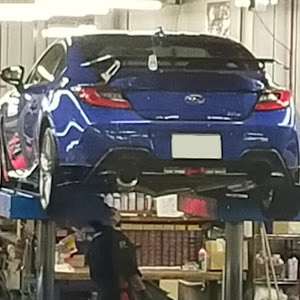 BRZ ZD8