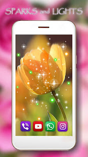 Springs Flowers Tulips live wallpaper(圖5)-速報App