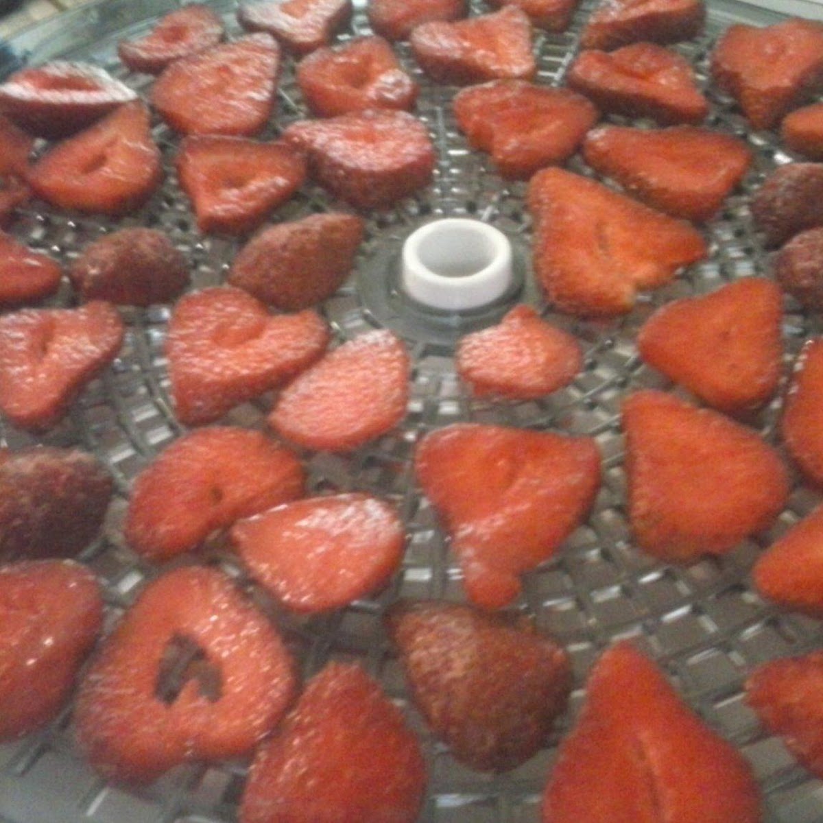 How to Make Dehydrated Strawberries in a Dehydrator - Recipes