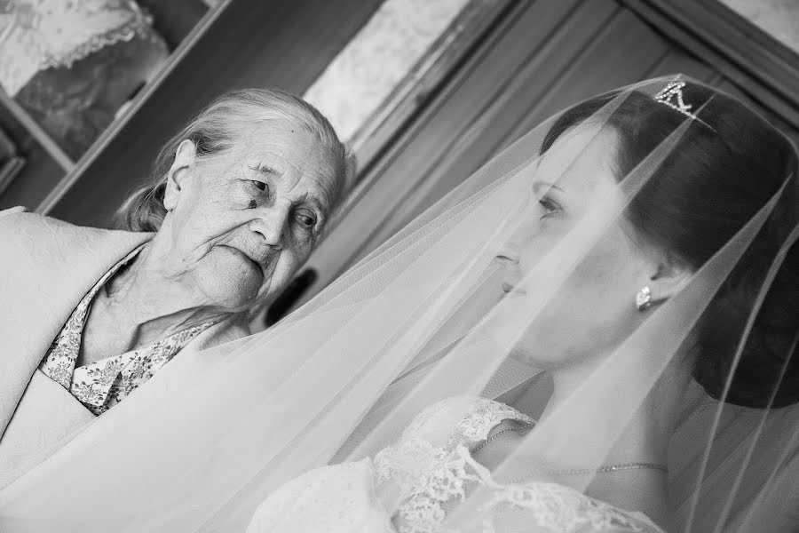 Fotografo di matrimoni Ekaterina Zhevak (katyazhevak). Foto del 12 novembre 2016