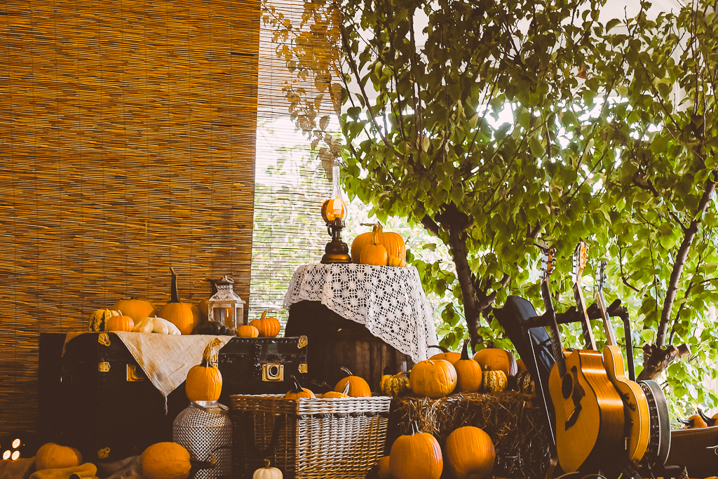 Non è autunno senza l'arancione  di saraburann