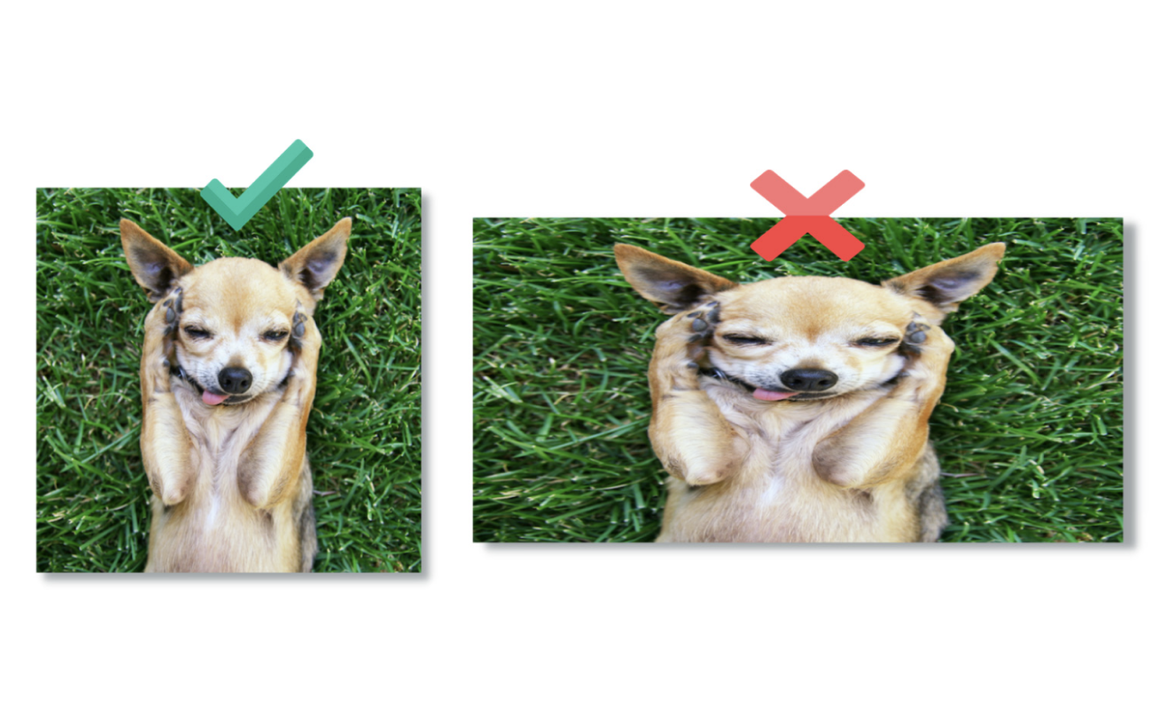 Image Resizer - Resize & Optimize Images Chrome Extension Image 5