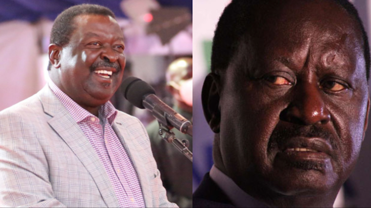 Mudavadi awarai Waluhya kumtema Odinga