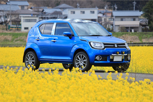 イグニス の菜の花畑 愛車紹介 ドライブ ミニクーパー コラボ撮影に関するカスタム メンテナンスの投稿画像 車のカスタム情報はcartune