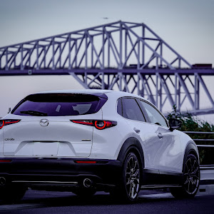 CX-30 DMEP