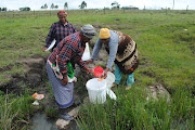 Mancam villagers use a strainer to catch fungi, worms and debris found in murky spring. 