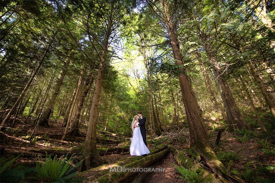 Fotógrafo de casamento Aimée Wilson (aimeewilson). Foto de 9 de maio 2019