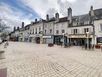 locaux professionnels à Beaugency (45)