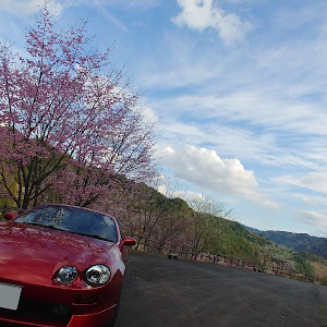 セリカ ST202