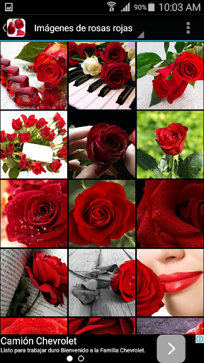 Rosas Rojas