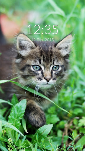 Tiger Cat In Grass Wall Lock