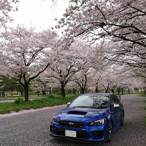 WRX STI VAB