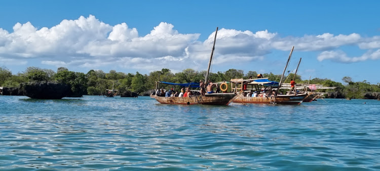 A day outing on the sea includes a swim among the mangroves.