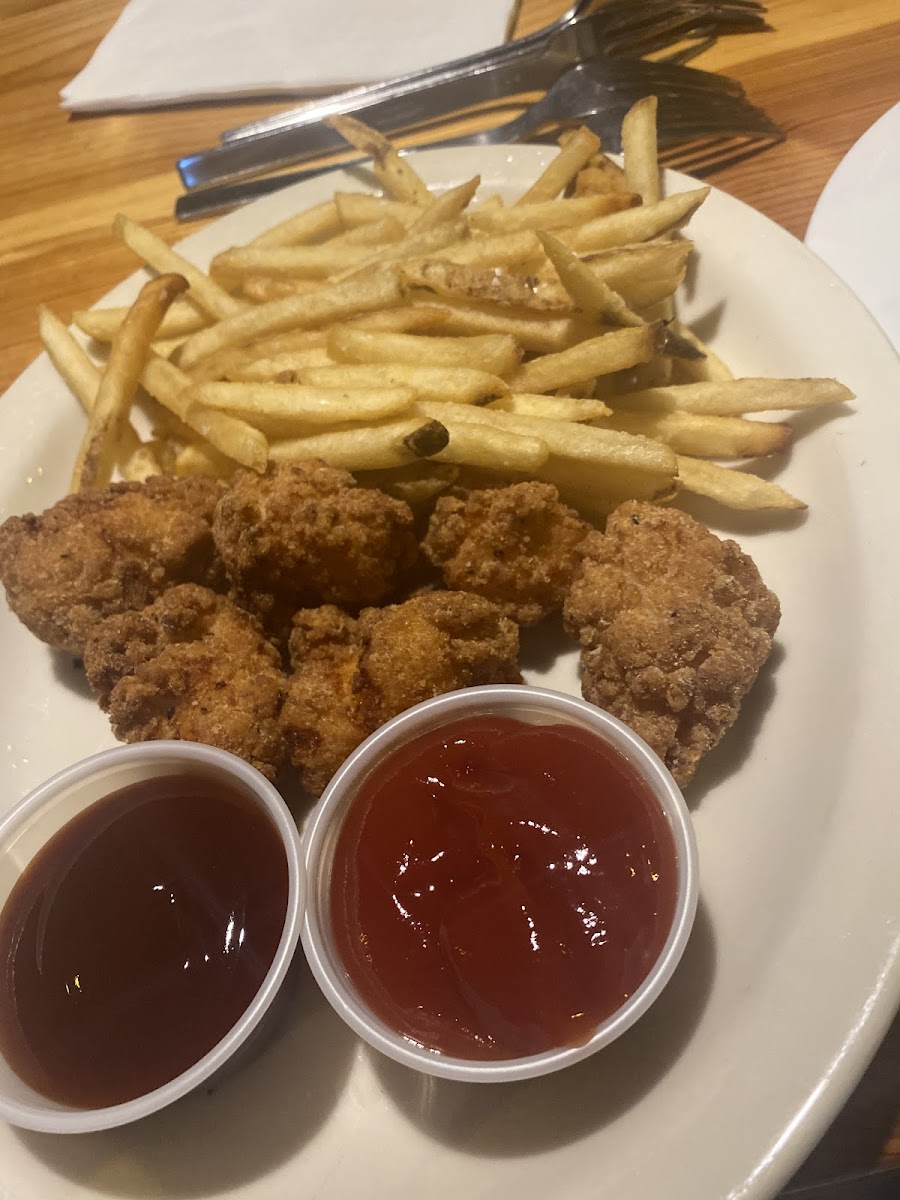 Kids Chicken Strips and Fries