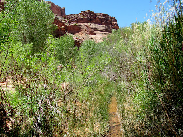 Bushwhacking up the watercourse