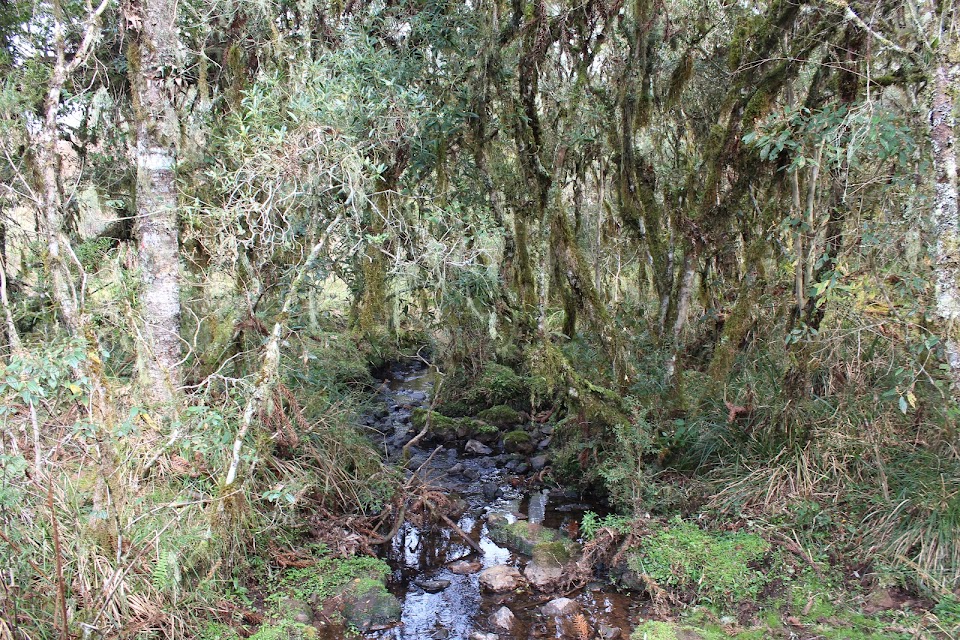 штат Rio Grande do Sul - 8 дней